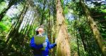 Forestry Engineering