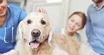 Veterinary Hospitals